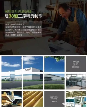公司介绍